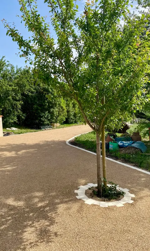 Allée goudronnée en bicouche autour d'un arbre, réalisation Marson TP