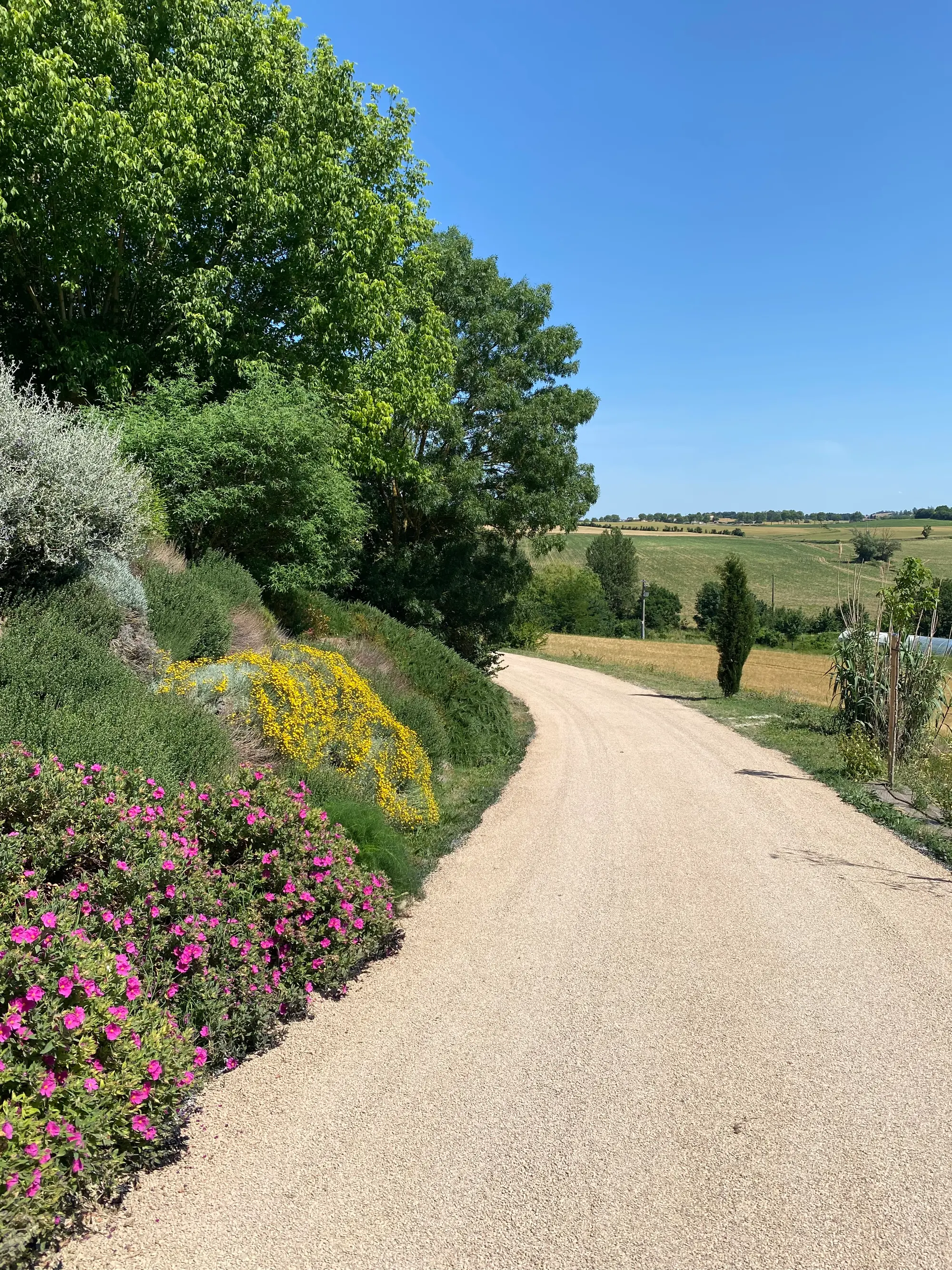 Chemin goudronné en bicouche bordé de fleurs, réalisation Marson TP